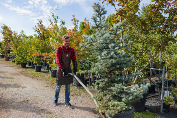 Best Seasonal Cleanup  in Johnson City, KS